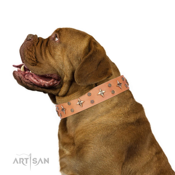 Dogue de Bordeaux full grain genuine leather collar with corrosion resistant fittings for comfortable wearing