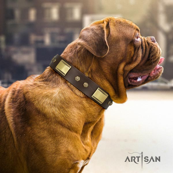 Dogue de Bordeaux exceptional full grain natural leather collar for daily use