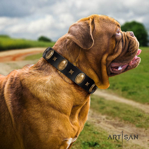 Dogue de Bordeaux handy use dog collar of best quality genuine leather