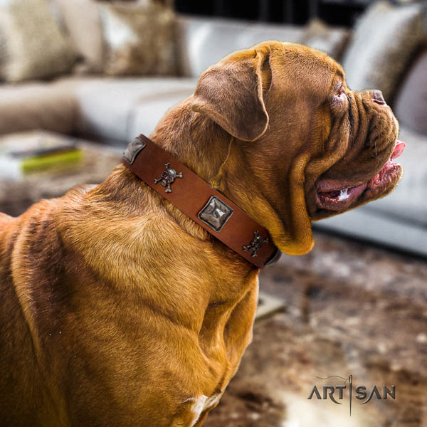 Dogue de Bordeaux everyday use dog collar of soft leather