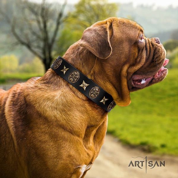 Dogue de Bordeaux basic training dog collar of remarkable quality leather