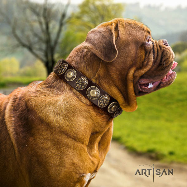 Dogue de Bordeaux easy wearing dog collar of incredible quality natural leather