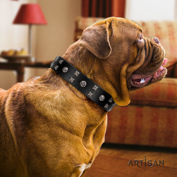 Dogue de Bordeaux easy wearing full grain natural leather dog collar
