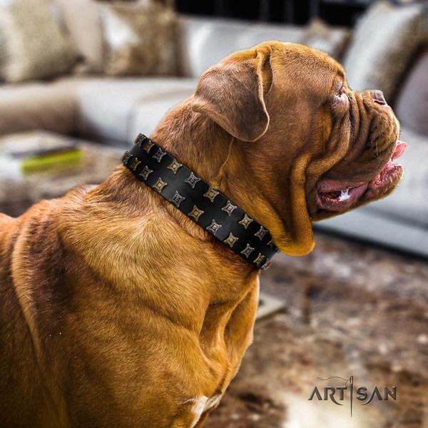 Dogue de Bordeaux easy wearing dog collar of fine quality genuine leather