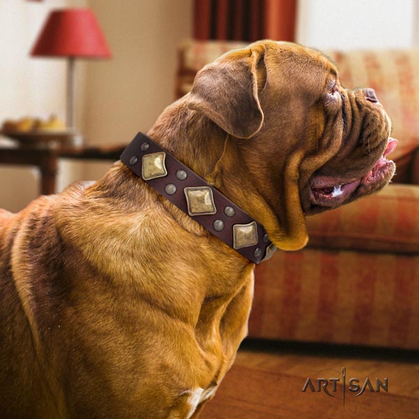 Dogue de Bordeaux significant natural genuine leather collar for comfy wearing