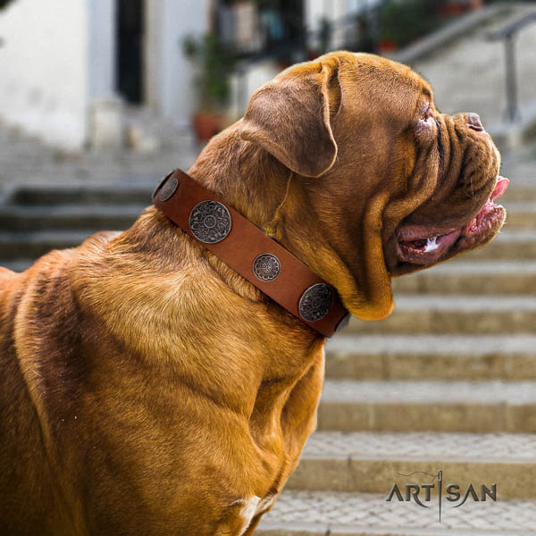 Dogue de Bordeaux basic training dog collar of significant quality natural leather
