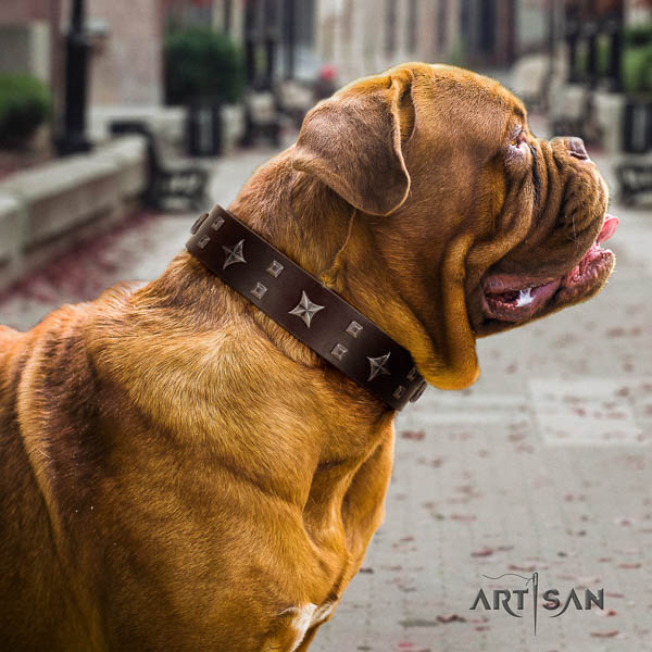 Dogue de Bordeaux dog collar of incredible quality genuine leather for comfy wearing