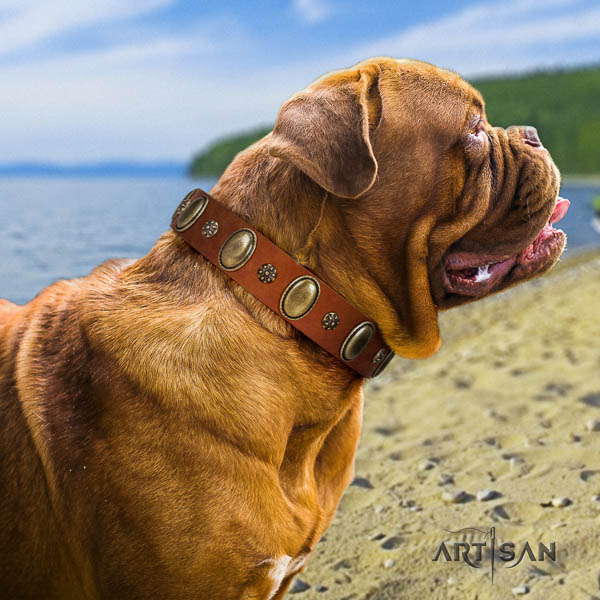 Dogue de Bordeaux handy use dog collar of comfortable natural leather