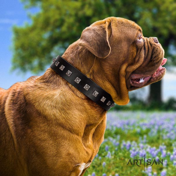 Dogue de Bordeaux unusual full grain leather dog collar