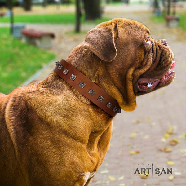 Dogue de Bordeaux incredible full grain natural leather dog collar