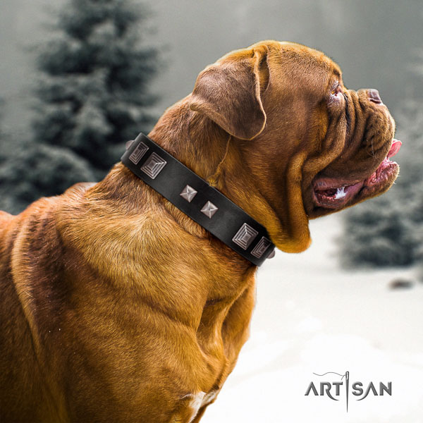 Dogue de Bordeaux basic training dog collar of flexible genuine leather