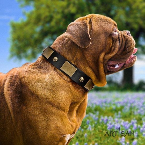 Dogue de Bordeaux daily walking dog collar of soft genuine leather