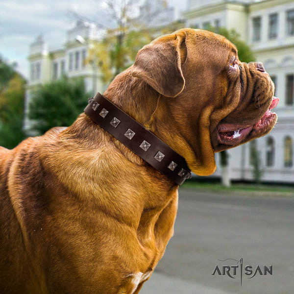 Dogue de Bordeaux stylish design full grain leather dog collar