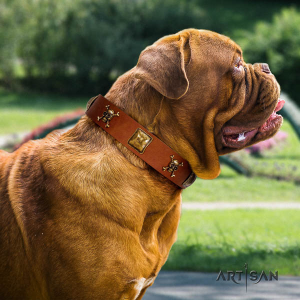 Dogue de Bordeaux handy use dog collar of trendy leather