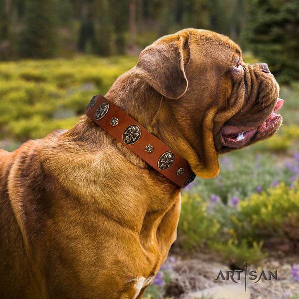 Dogue de Bordeaux everyday walking dog collar of soft natural leather