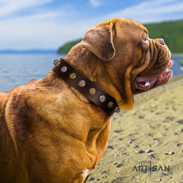 Dogue de Bordeaux dog collar of awesome quality natural leather for walking
