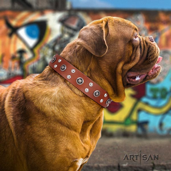 Dogue de Bordeaux awesome full grain genuine leather collar for everyday walking