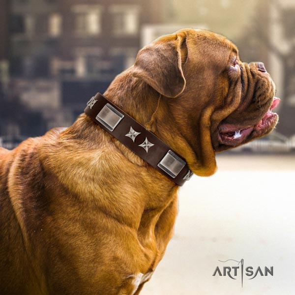 Dogue de Bordeaux top notch genuine leather collar for easy wearing
