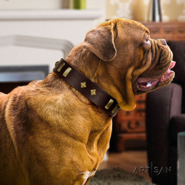 Dogue de Bordeaux walking dog collar of flexible genuine leather