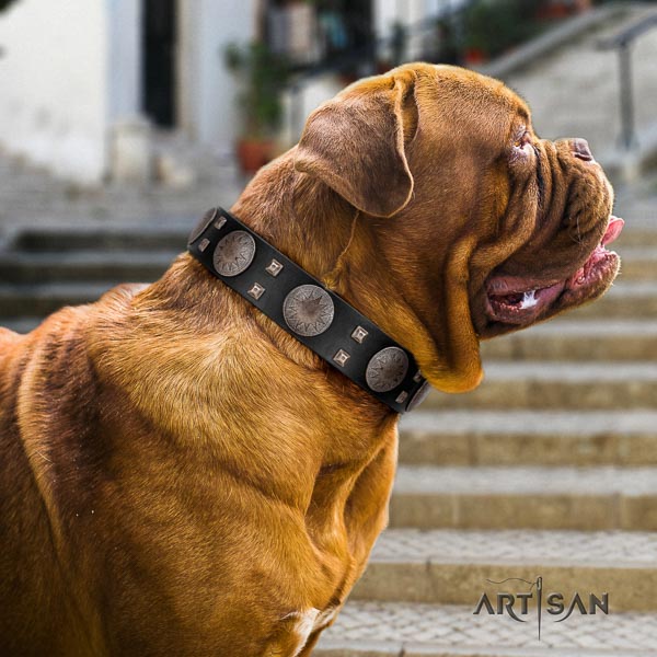 Dogue de Bordeaux easy adjustable full grain leather dog collar