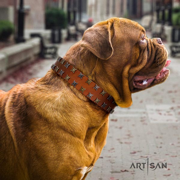 Dogue de Bordeaux basic training dog collar of flexible leather