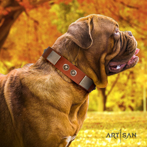 Dogue de Bordeaux handy use dog collar of extraordinary quality leather