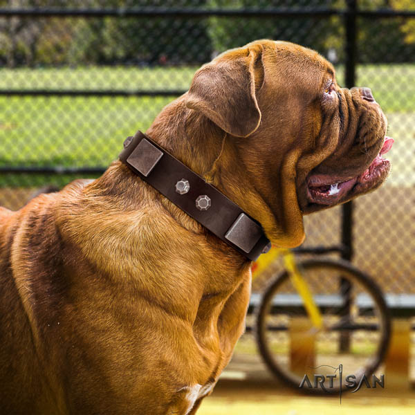 Dogue de Bordeaux adjustable natural genuine leather dog collar