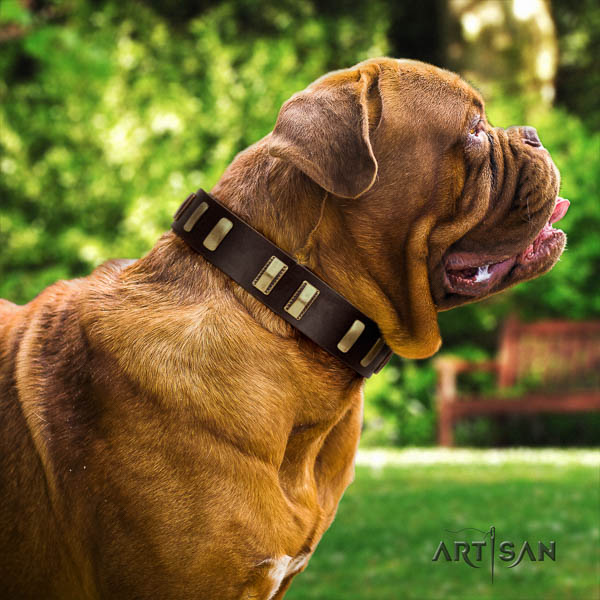 Dogue de Bordeaux everyday use dog collar of fine quality leather