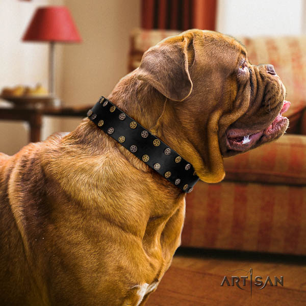Dogue de Bordeaux daily use dog collar of designer leather