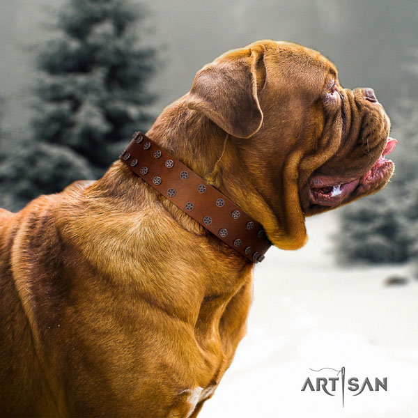 Dogue de Bordeaux exquisite full grain leather dog collar