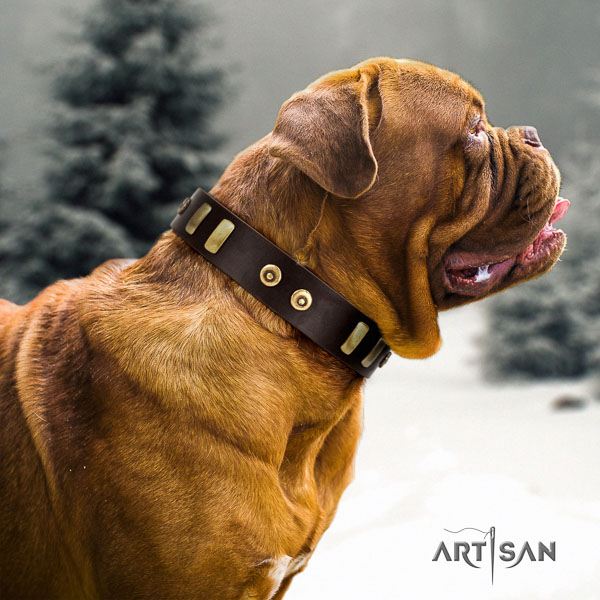 Dogue de Bordeaux walking dog collar of top notch quality natural leather