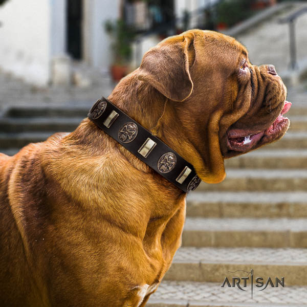 Dogue de Bordeaux daily walking dog collar of soft natural leather