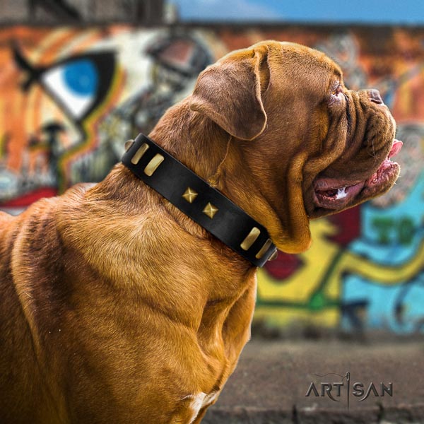 Dogue de Bordeaux fancy walking dog collar of trendy leather