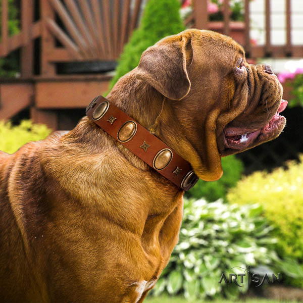 Dogue de Bordeaux stylish walking dog collar of comfortable leather