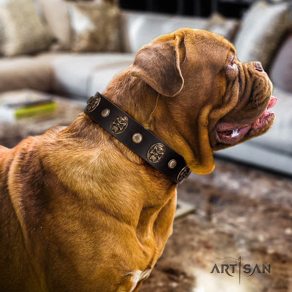 Dogue de Bordeaux handy use dog collar of exquisite quality leather