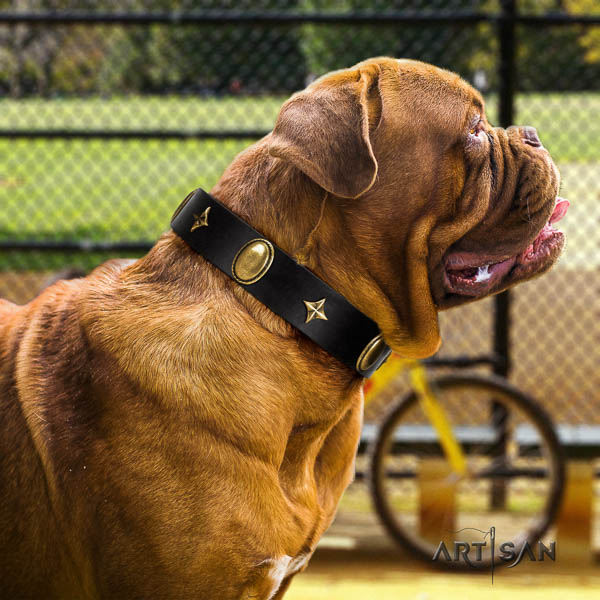 Dogue de Bordeaux handy use dog collar of incredible quality leather
