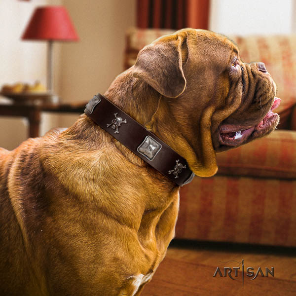 Dogue de Bordeaux handy use dog collar of remarkable quality natural leather