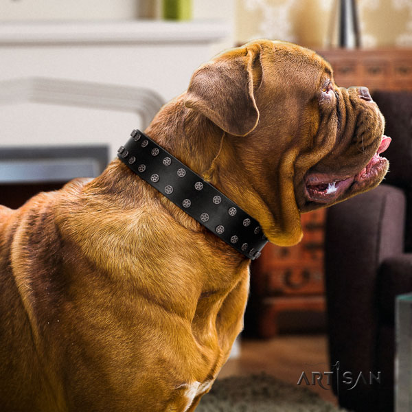Dogue de Bordeaux perfect fit natural genuine leather dog collar