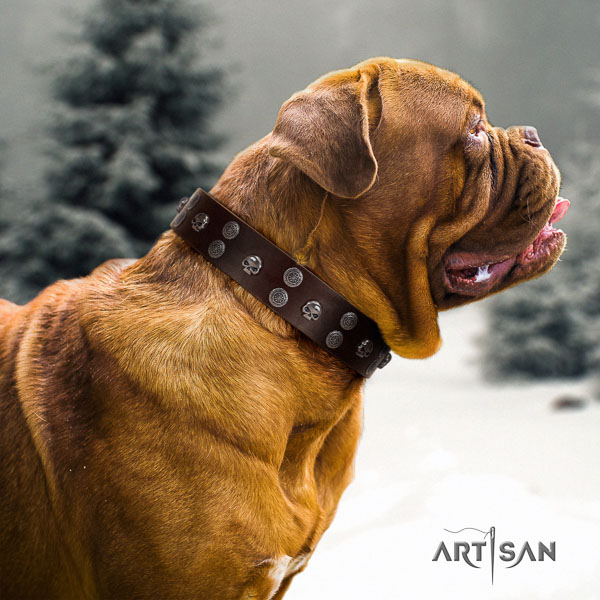 Dogue de Bordeaux easy wearing full grain genuine leather dog collar