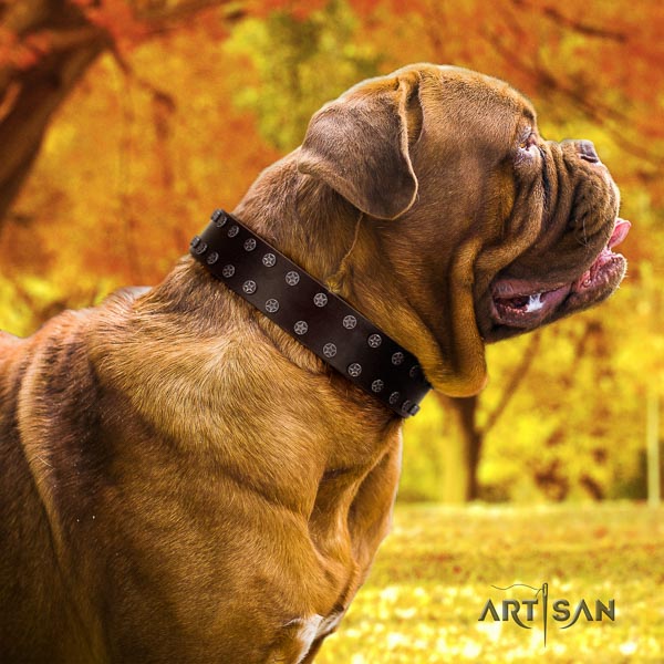 Dogue de Bordeaux stylish genuine leather dog collar