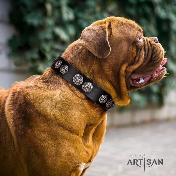 Dogue de Bordeaux handy use dog collar of flexible leather