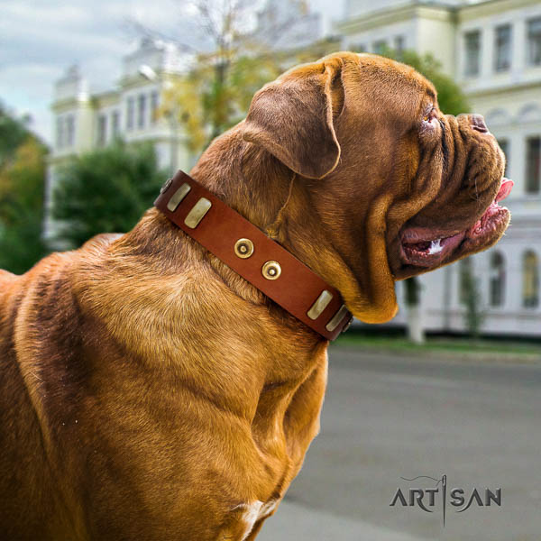 Dogue de Bordeaux fancy walking dog collar of extraordinary quality genuine leather