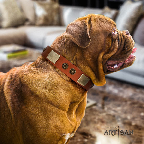 Dogue de Bordeaux easy wearing dog collar of fashionable genuine leather