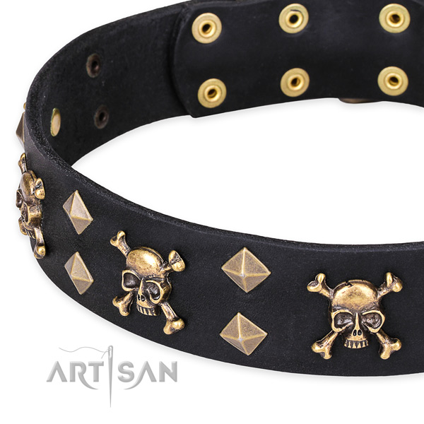 Everyday leather dog collar with refined studs