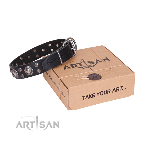 Day-to-day leather dog collar with refined studs