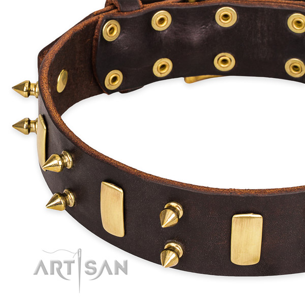 Easy to put on/off leather dog collar with almost unbreakable rust-proof fittings