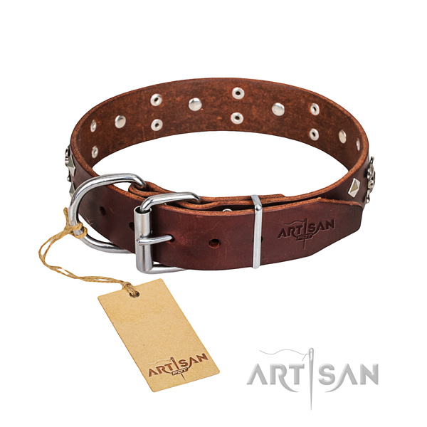 Casual style leather dog collar with exciting adornments
