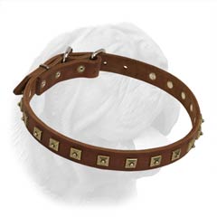 Genuine Leather Collar Decorated with One Row of Brass Plated Pyramids