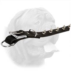 Dogue de Bordeaux Leather Buckle Collar with 1 Row of Nickel Plated Spikes