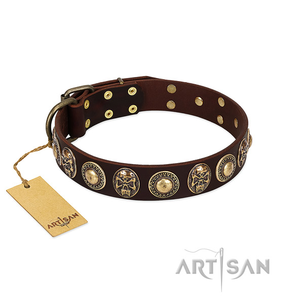 Amazing full grain natural leather dog collar for daily use